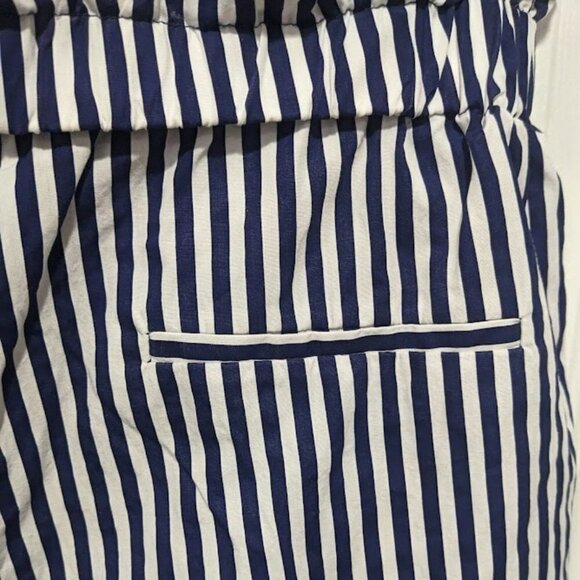 Zara | Paperbag Tie-Waist Pants in Blue Stripe - Picture 9 of 11